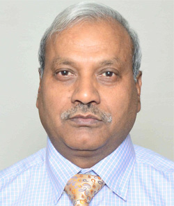 Mannar R. Maurya